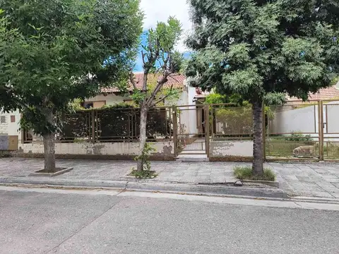 Arbol de Catedrales 2500