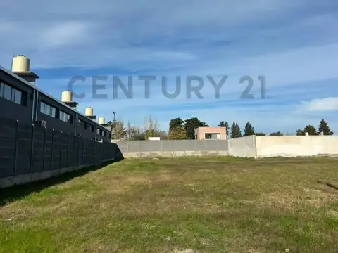 505 e/ av 31 y 131 , Piso 0