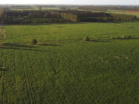 4 chacras de 6 has agrícolas en VENTA, Gobernador Castro