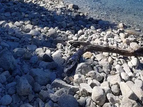 Oportunidad Campo 580has sobre brazo Huemul, 1.5km costa del lago entre Bariloche y V. La Angostura