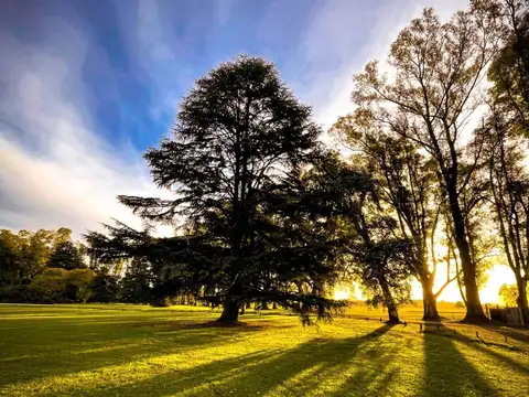 Terreno en Venta 40  mts Fondo