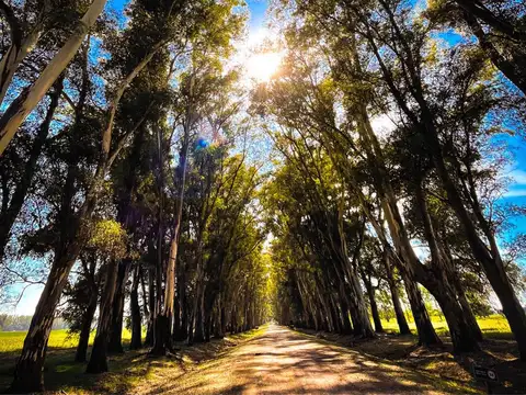 Terreno en Venta en Villa Ruiz, USD 22.000