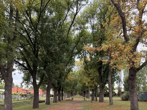 Lote en venta Santa Guadalupe