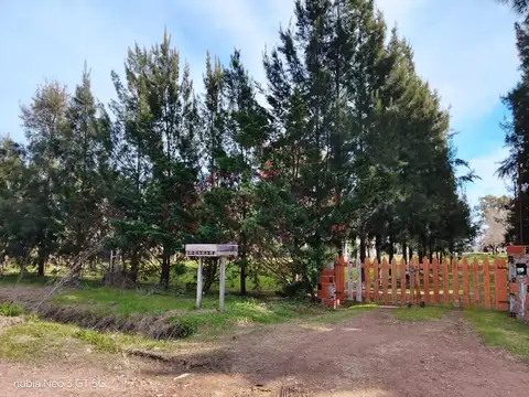 104 Montevido Y Chañar