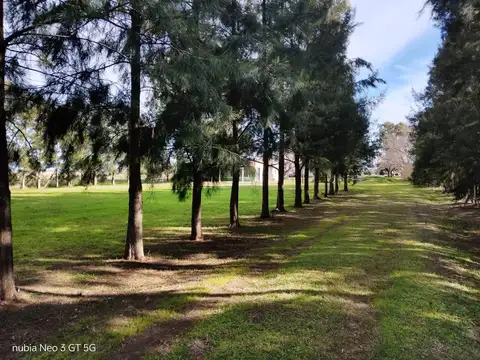 Quinta en Venta 20 años