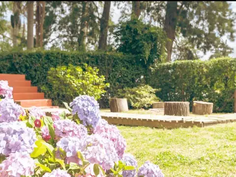 Primera Seccion De Islas 191 Rio Sarmiento Al 100