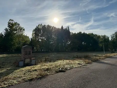 Terreno en Venta de 1095,0 m2