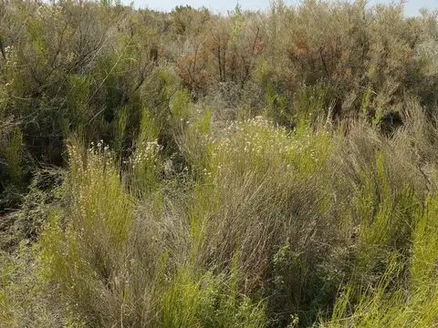 Terreno en Venta 94,50  mts Frente
