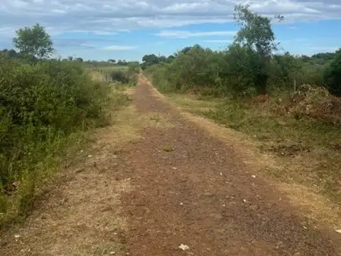 VENTA UNA HECTAREA N. PARMA POSADAS MISIONES