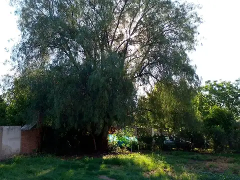 Lote céntrico a pasos de todo! sobre Juana Azurduy.