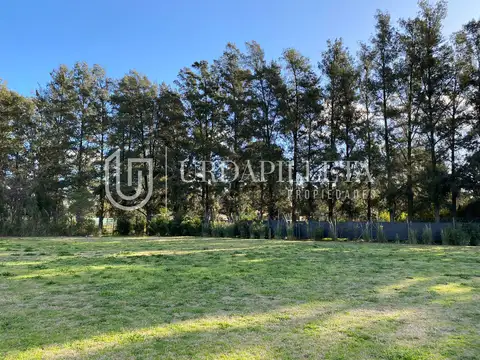 Terreno en Venta en Pilara, USD 170.000