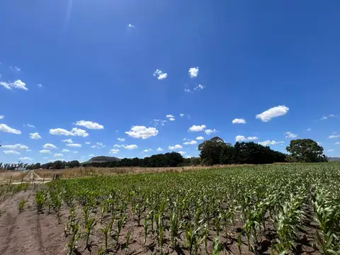 Campo en Balcarce