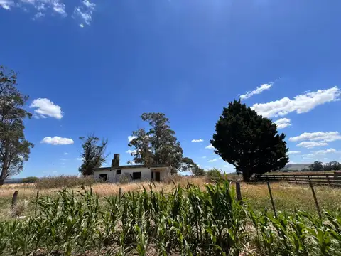 Ruta 226