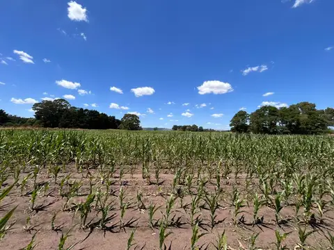 Campo en Balcarce