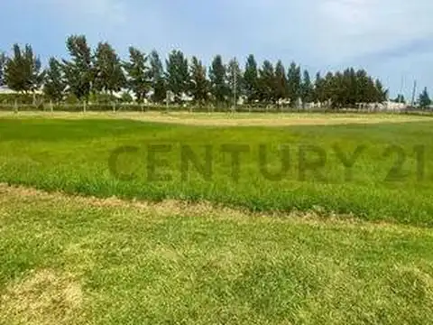 Venta de LOTE 10X45 EN SAN VICENTE MUY CERCA DE LA LAGUNA