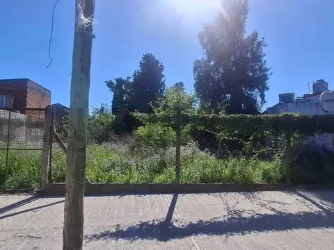 Terreno en Alquiler de 600,0 m2