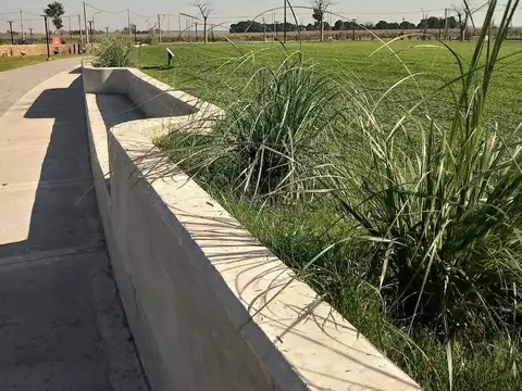 Pirincha y los alamos