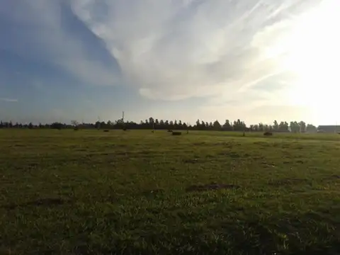 Terreno en Venta en Belleville, USD 35.000