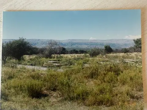 Terreno en Venta 1.000  mts Frente