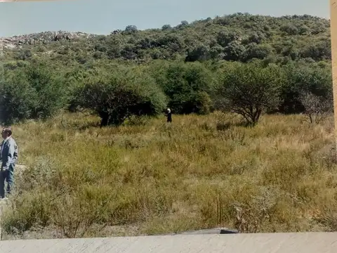 Terreno en Venta de 50035,0 m2
