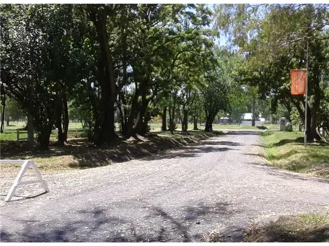 Avenida Estación la Carolina 600