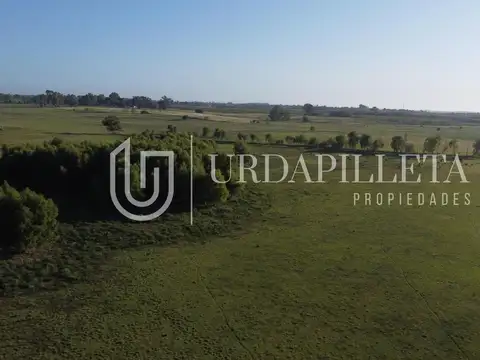 Terreno en Venta en Campana, USD 160.000