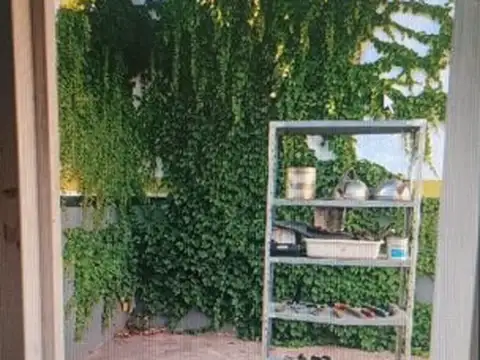 ZAPIOLA 497