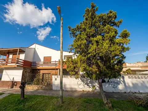 Int. C. Amenedo 100 -