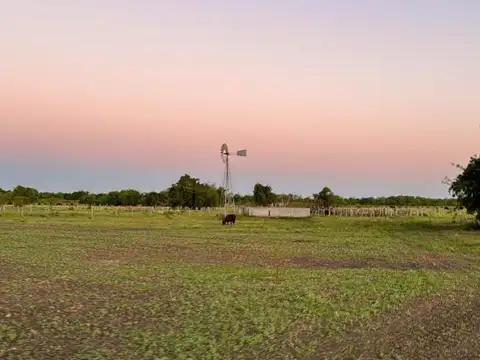 Venta de campo en Nogoyá