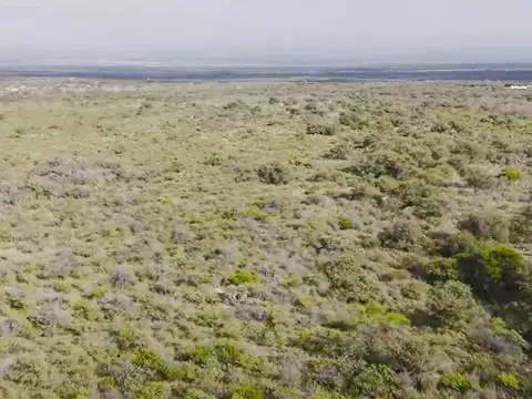 Campo en Venta en Villa Larca, Chacabuco