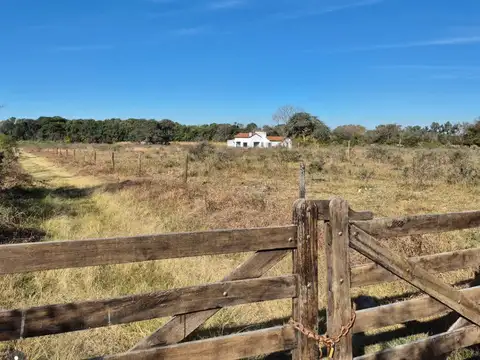 Finca en Venta en La Silleta 3,7ha, entre Ruta Nacional 51 y Ruta Provincial 24