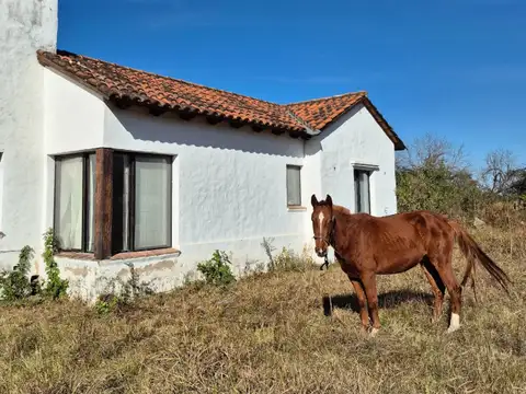 Finca en Venta en La Silleta 3,7ha, entre Ruta Nacional 51 y Ruta Provincial 24