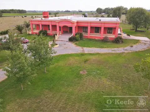 Chacra en venta 4 has San Andres de Giles excelente casco