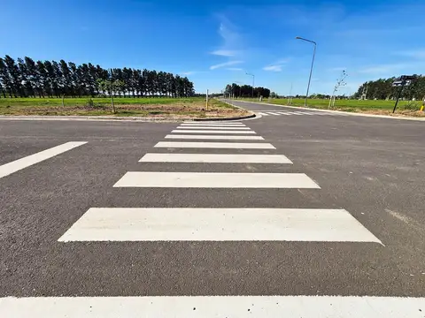 Terreno 320 m2 en EcoLagos Este - Oportunidad - Todos los servicios