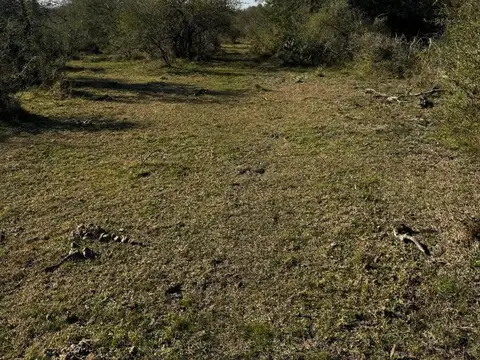 Campo en Venta de 48  ha