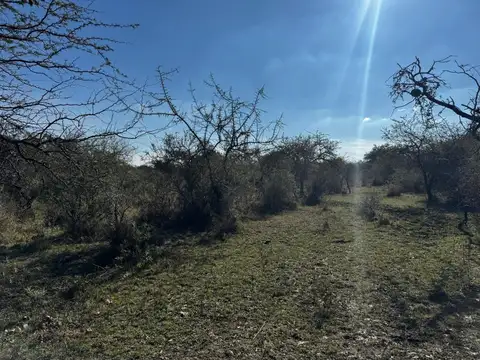 Campo en Venta Ganadero