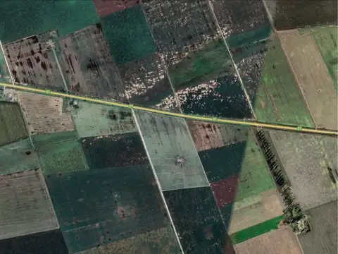 Zona Rural - Ruta Provincial 91