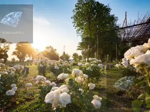 Terreno en Venta de 1000,0 m2