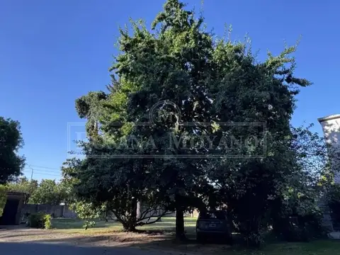 Terreno en Venta en Villa Bertha, USD 110.000