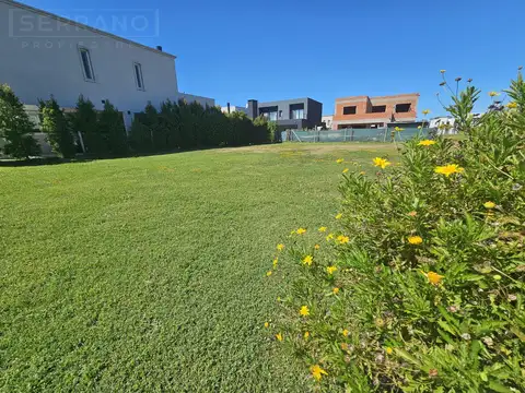 Terreno en Venta 20  mts Frente