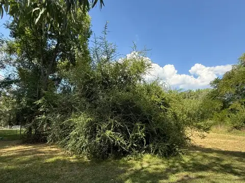 Amarylis Club de Campo