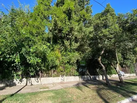 Junin 893