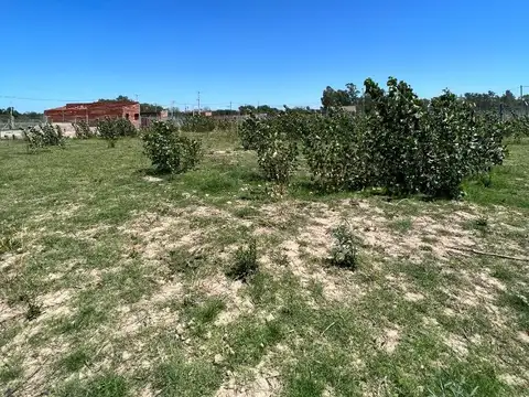 Terreno en Venta en Chivilcoy, USD 12.500