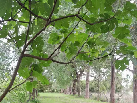 Terreno en Venta de 20400,0 m2