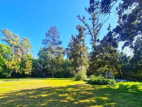 Juan Ramón Jiménez 1700