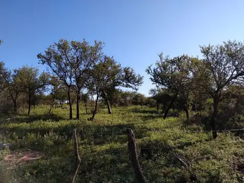 Venta de Terrenos en Las Rabonas