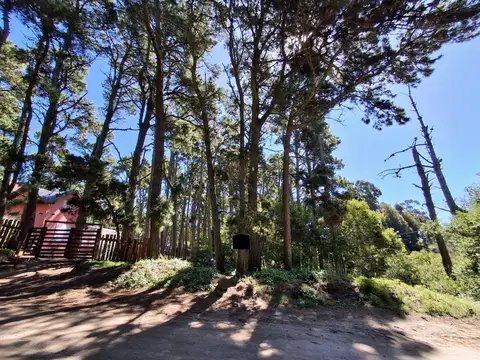 Lote Mar Azul en Calle Miramar entre 36 y 37