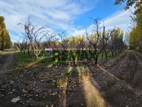 CHACRA FRENTE DE RUTA - CAMPO GRANDE