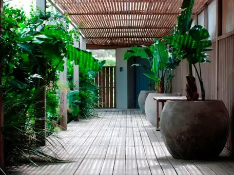 Quinta - ALQUILER_TEMPORAL - Uruguay, PUNTA BALLENA