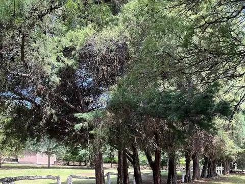 Quinta en Venta en Cruz del Eje, USD 115.000